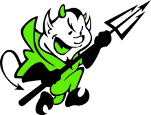 Dickinson Green Devils 2022's avatar